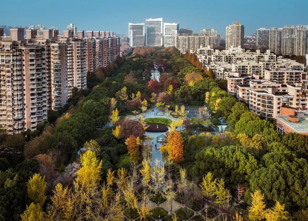 同行十载聚力奋进！万里街道成立十周年系列活动启幕(图1)