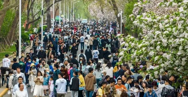 提醒！今起暂停开放！为期6天！清明节小长假天津这20场活动不容错过！冲26℃！就在这天！在天津…(图11)