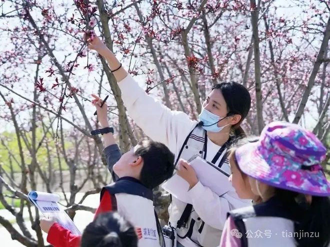 提醒！今起暂停开放！为期6天！清明节小长假天津这20场活动不容错过！冲26℃！就在这天！在天津…(图18)