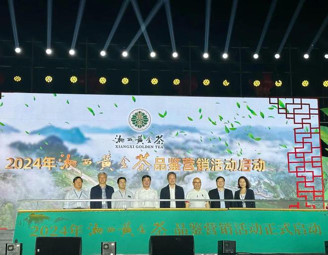 芒种新闻｜绽放黄金价值湘西黄金茶区域公用品牌新形象正式发布(图1)
