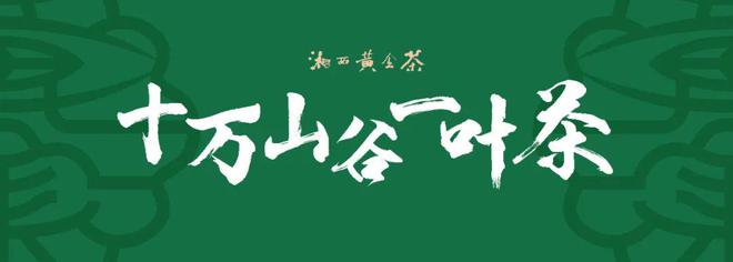 芒种新闻｜绽放黄金价值湘西黄金茶区域公用品牌新形象正式发布(图3)