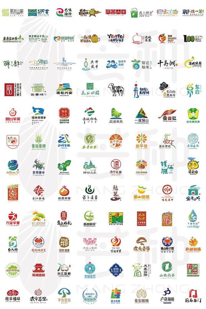 芒种新闻｜绽放黄金价值湘西黄金茶区域公用品牌新形象正式发布(图6)