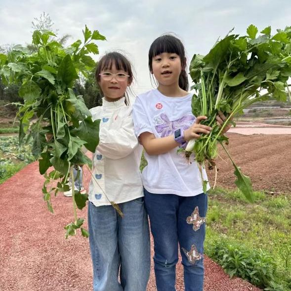 珙县米市街小学校开展这个春天愿你不辜负每一场花开春游活动(图1)