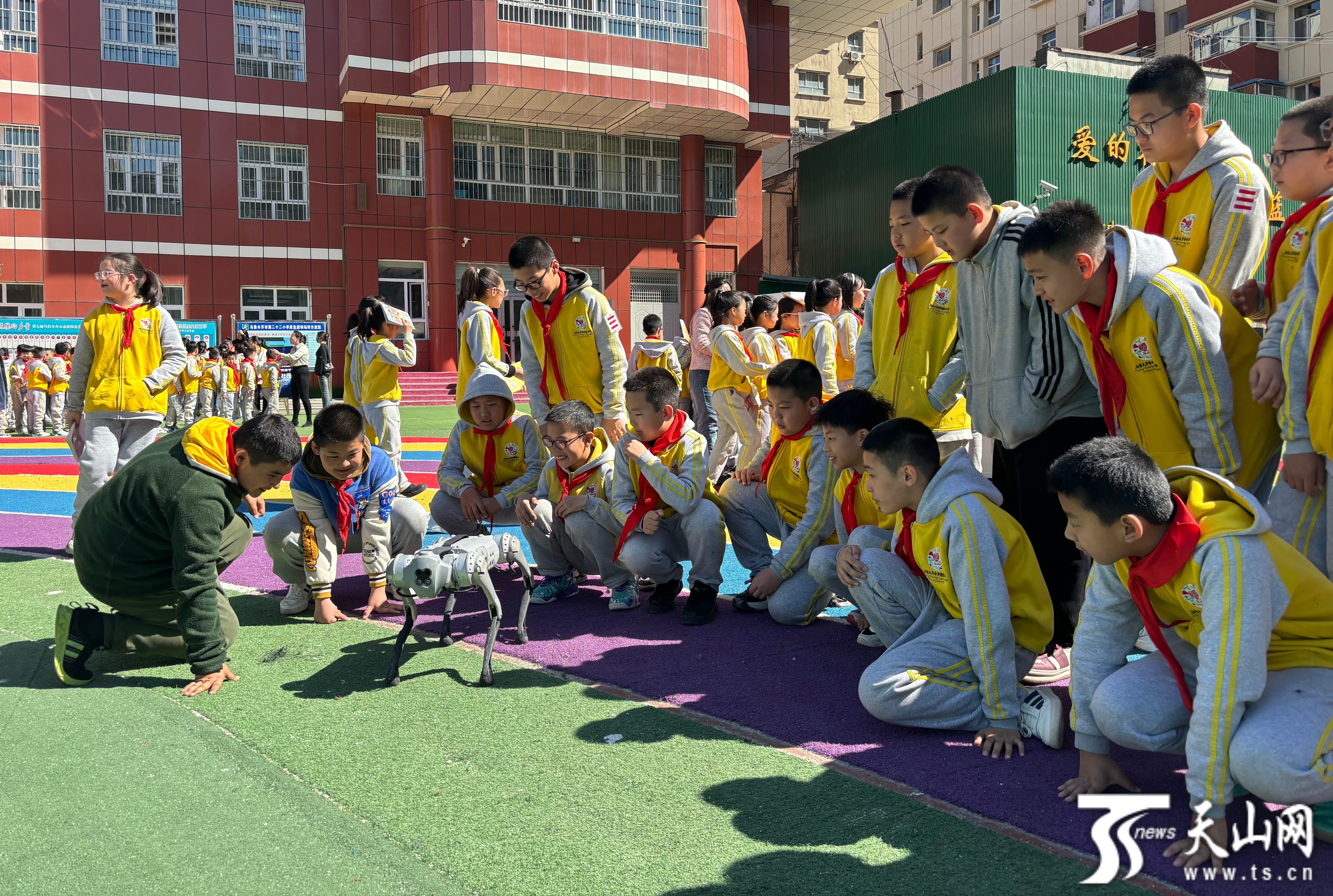 “X之问--科学家精神耀天山”活动进校园拉开序幕(图4)