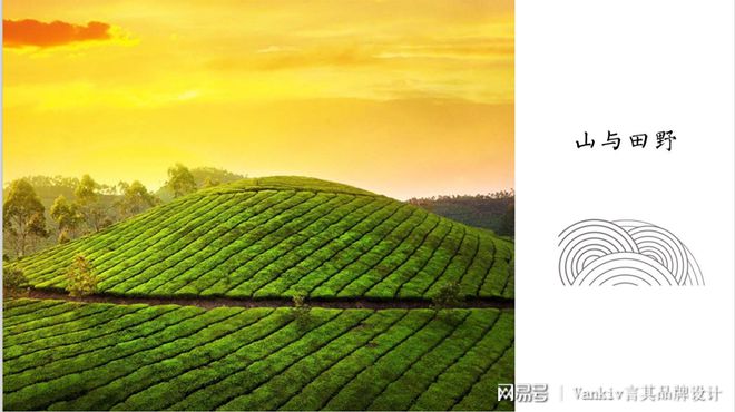 郑州品牌设计公司：盘点品牌设计在企业发展中的作用别忽视了！(图1)