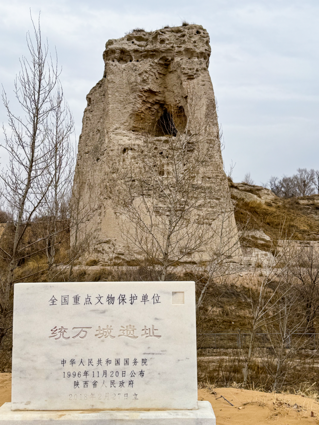 芒种农业品牌行记｜靖边：黄土与沙漠交织的陕北小城如何展现不凡之姿？(图5)