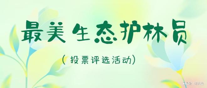 最美生态护林员投票评选活动策划方案及制作方法(图1)