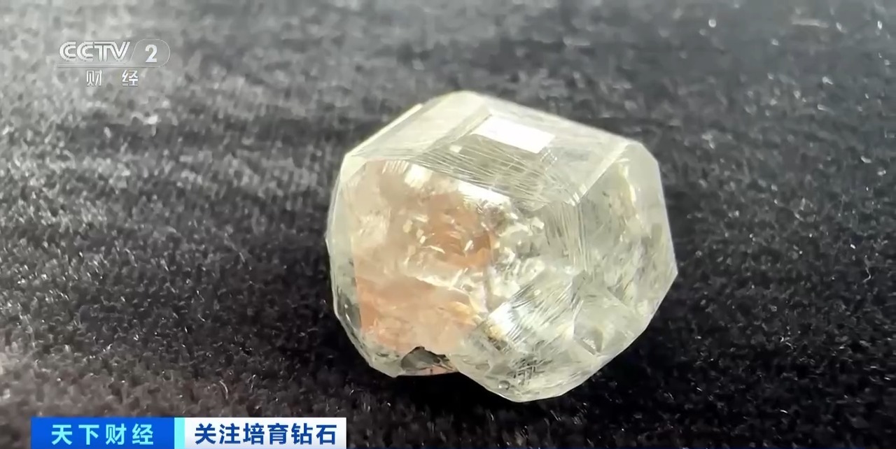 市场份额超56%！培育钻石“闪耀”美国珠宝市场掀销售热潮(图3)
