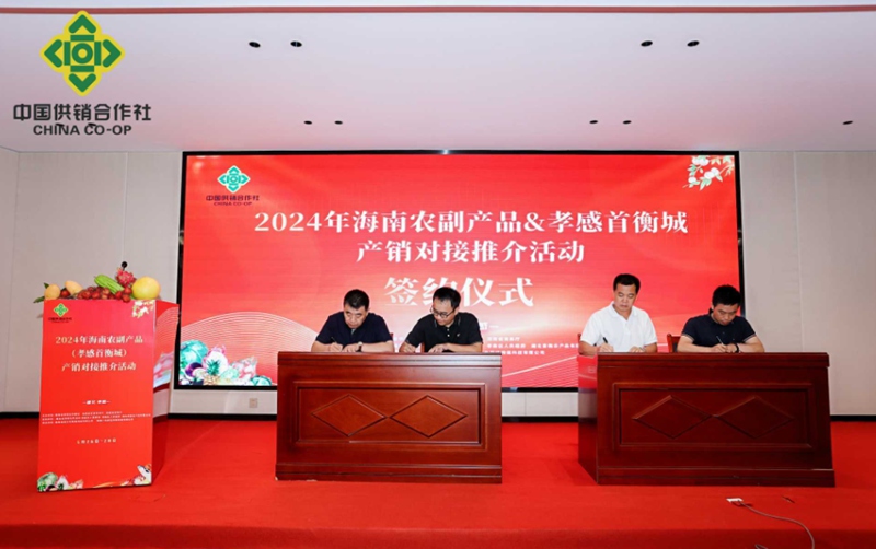 2024年海南农副产品产销对接推介活动走进湖北(图2)