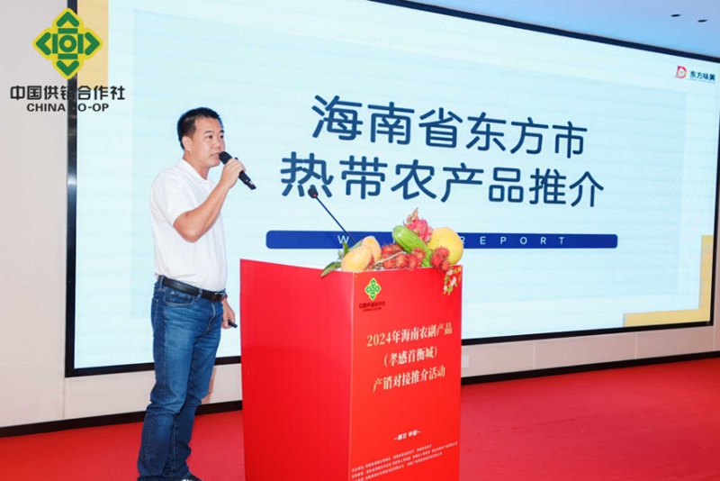 2024年海南农副产品产销对接推介活动走进湖北(图4)
