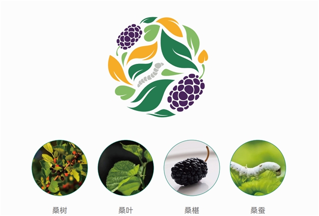 盐边桑椹品牌设计灵感源自唐宋锦绣(图1)