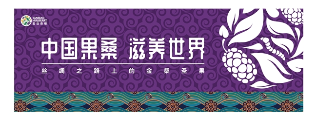 盐边桑椹品牌设计灵感源自唐宋锦绣(图3)