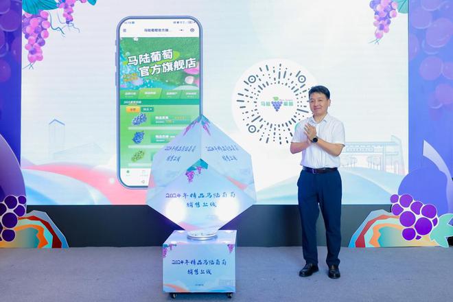 精品果“按串销售”每串售价100元马陆葡萄品牌价值再创新高(图3)