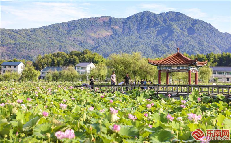 海峡两岸大学生音乐嘉年华（建宁）活动开幕(图3)