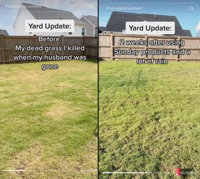 草坪护理品牌业绩爆了！新锐品牌如何花小钱撬动大销量？(图5)