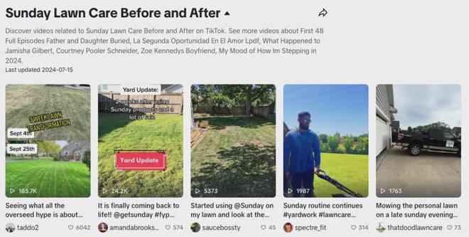 草坪护理品牌业绩爆了！新锐品牌如何花小钱撬动大销量？(图4)