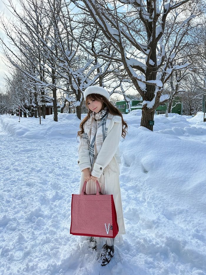 创新品牌营销措施VALLILA瓦莉拉为中国女包消费者市场带来更多变化(图1)