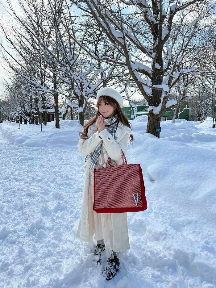 创新品牌营销措施VALLILA瓦莉拉为中国女包消费者市场带来更多变化(图2)