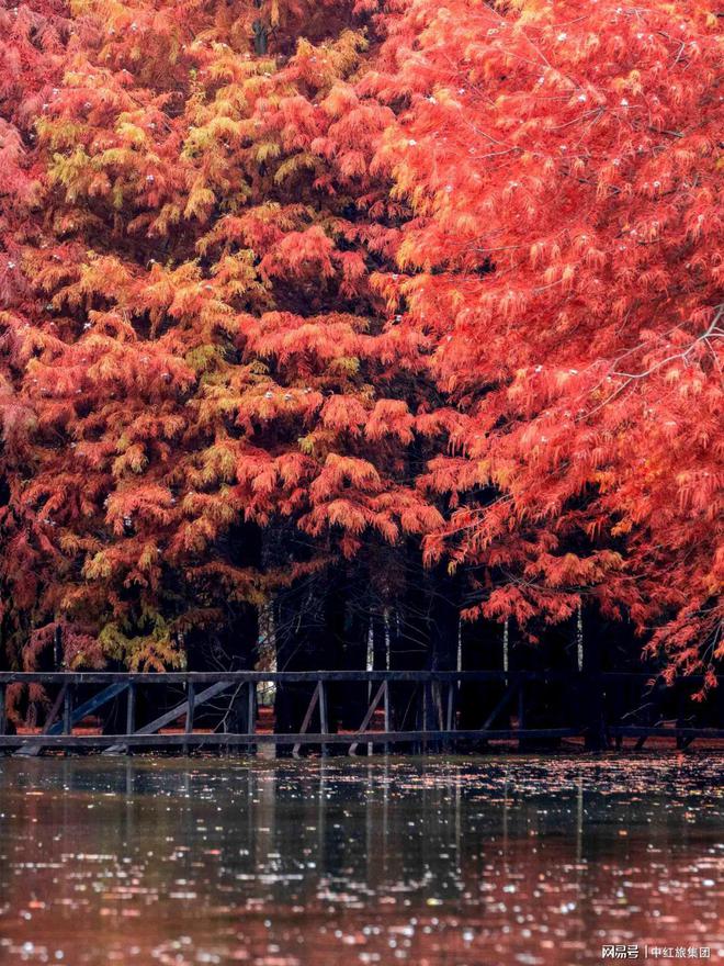 “国家级”文旅品牌丨5A级旅游景区与旅游度假区的区别(图4)