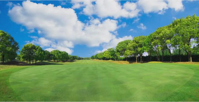 「营销网站」五个院子的别墅-上海嘉定售楼处电话＞地址＞！(图29)