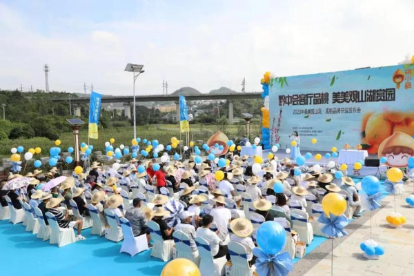 观山湖区:搭上“品牌快车”让农产品一路“旺销”(图2)