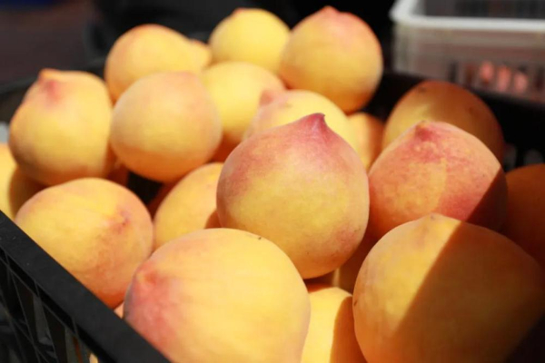 观山湖区:搭上“品牌快车”让农产品一路“旺销”(图1)