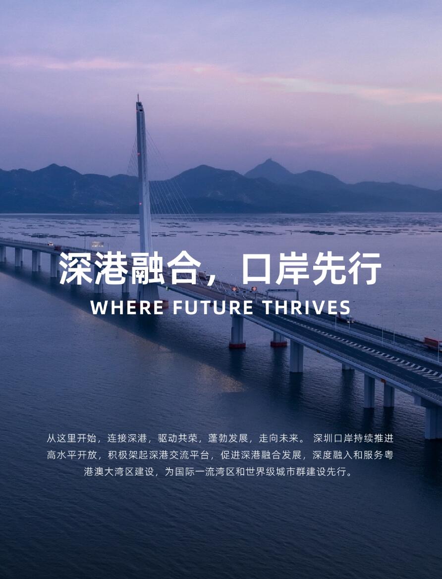 品牌战略公司大道恒美：深圳口岸文化IP顶层策划推进深港融合互动(图1)