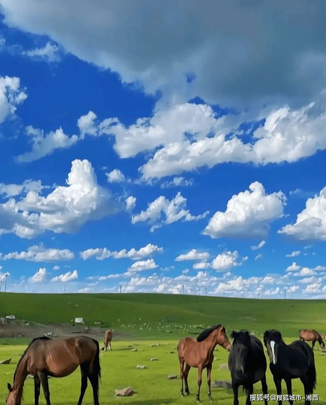 内蒙古精品游七天旅行社价格攻略内蒙古跟团策划7日游玩路线(图2)