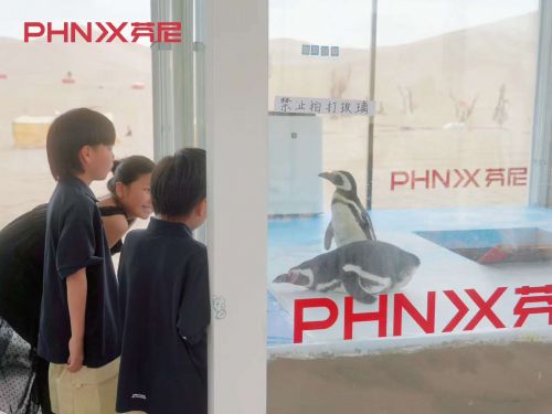 奥运热潮下的营销盛宴：芬尼如何借势成就品牌冠军梦(图3)