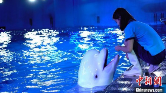 中秋假期广州推出近千场文旅活动市民游客共赏花好月圆(图1)