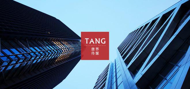 从数据到洞察：唐界传媒AI驱动下的品牌营销转型(图1)