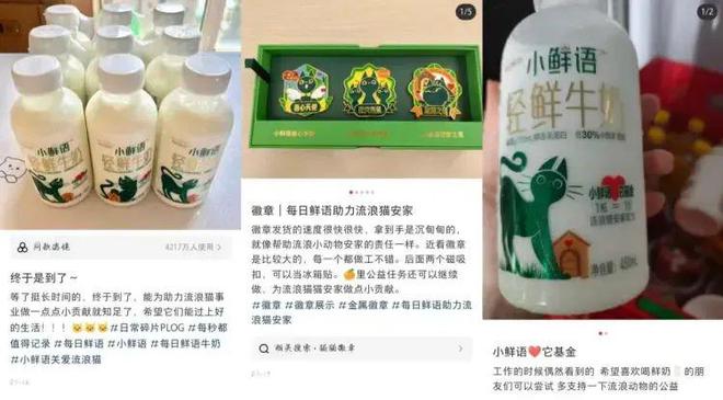 2024年乳制品行业扫码活动案例汇总：特仑苏每日鲜语畅意(图4)