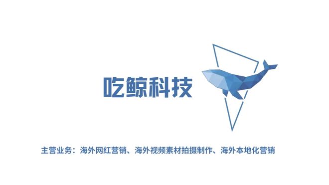 海外KOL营销公司如何助力品牌成功打入全球市场(图3)