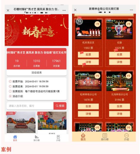 提前收藏好！2025“蛇年”元宵节主题投票评选活动策划方案(图2)