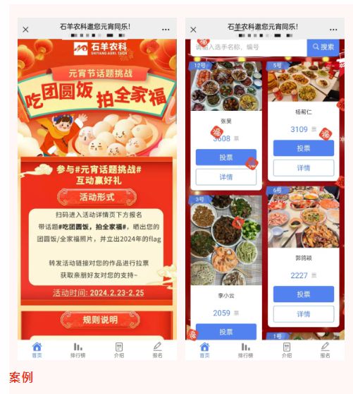 提前收藏好！2025“蛇年”元宵节主题投票评选活动策划方案(图7)
