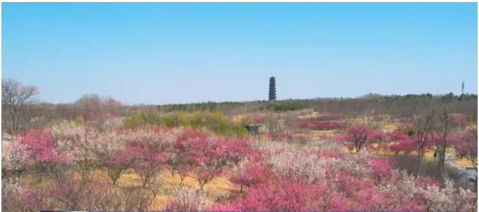 南京厚建软件LivCMS内容管理系统http：wwwhogesoftcom授权用户：http：wwwxichunet(图2)