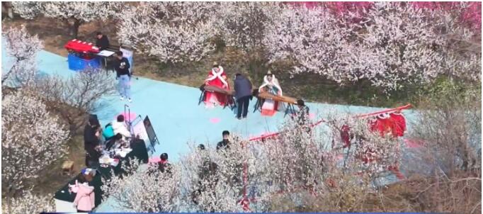 南京厚建软件LivCMS内容管理系统http：wwwhogesoftcom授权用户：http：wwwxichunet(图1)