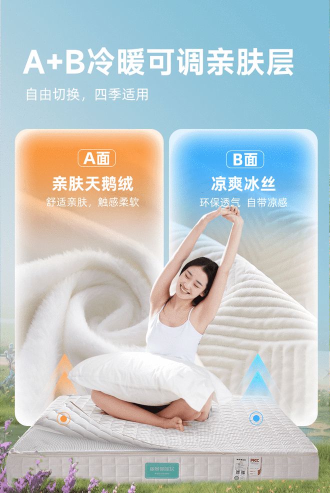 丽曼俪总经理石克：以睡眠革命重构家居生态释放招商、增长新动能(图4)