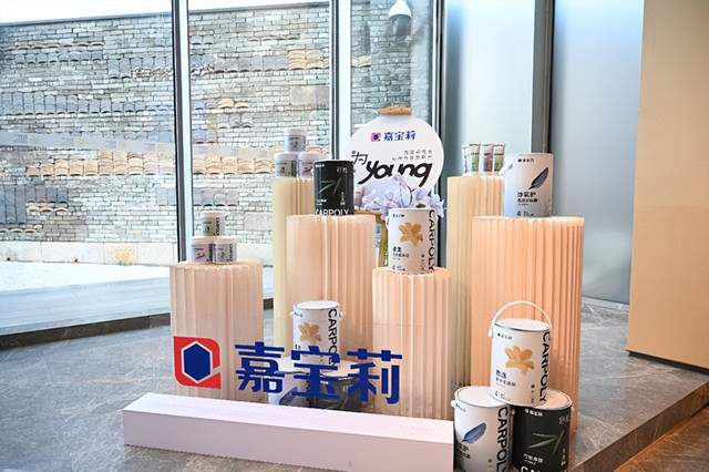 向“young”而生嘉宝莉做最懂年轻人的涂料品牌(图10)