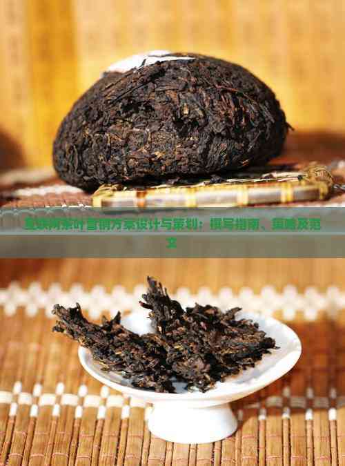 互联网茶叶营销方案设计与策划：撰写指南、策略及范文(图4)