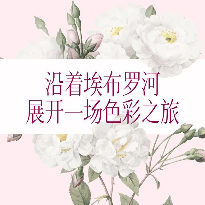 不是每场春天都要去日本有一种浪漫叫西班牙花海(图5)