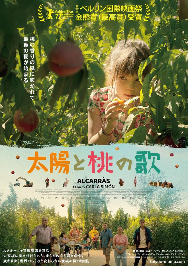 不是每场春天都要去日本有一种浪漫叫西班牙花海(图13)