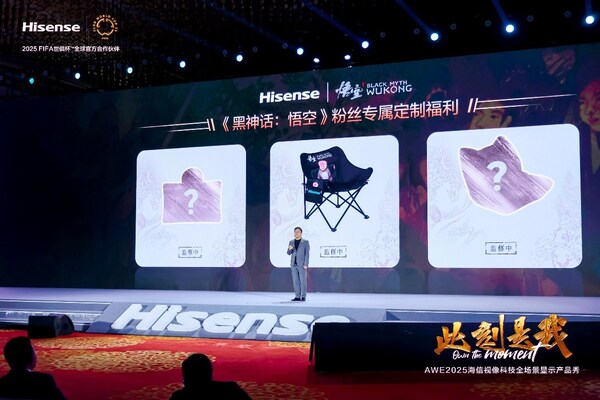 传立中国赢得海信视像IP整合营销服务(图2)