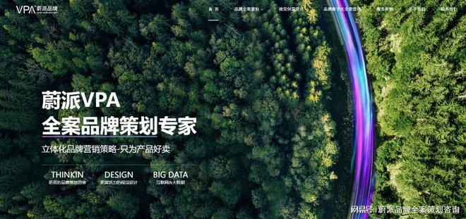 如何通过品牌全案策划赢得市场先机？(图3)
