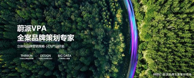 品牌全案策划：揭秘企业制胜市场的神秘武器(图1)