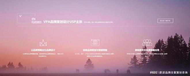 品牌全案策划：揭秘企业制胜市场的神秘武器(图2)