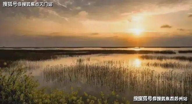 上实和风院(上实和风院售楼处)首页网站-2025楼盘测评-售楼处欢迎您-楼盘评测_欢迎您最新价格配套户型(图20)
