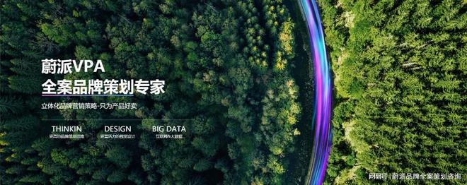 品牌全案设计：塑造独特形象的综合艺术(图1)
