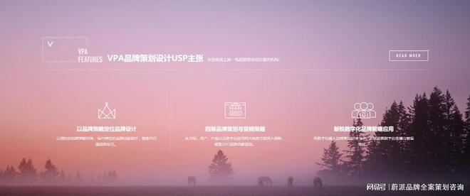 品牌全案设计：塑造独特形象的综合艺术(图2)