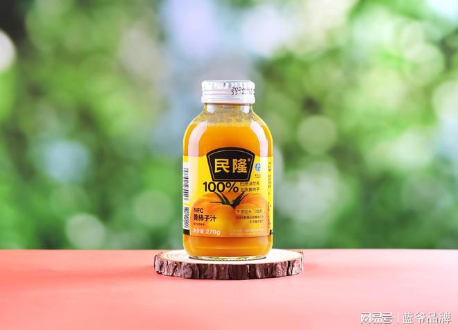 内蒙古蓝爷品牌营销公司的成功案例(图2)